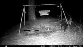 2022.03.17 01.57.08 coon argument leads to lost water.MOV (215 MB)