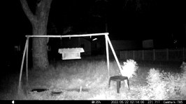 2022.05.22 02.13.50 fighting and injured coons.MOV (215 MB)
