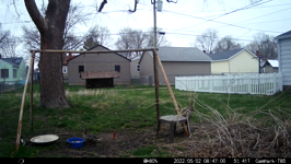 &nbsp;&nbsp;2022.05.02 08.46.50 duck wandering through.MOV (214 MB)&nbsp;&nbsp;
