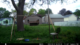 2022.05.21 06.50.30 squirrel upset over nothing again.MOV (214 MB)