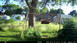 2022.06.21 07.42.58 squirrel off you go.MOV (214 MB)