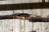 &nbsp;&nbsp;2023.12.06 09.48.50&nbsp;&nbsp;