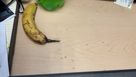 &nbsp;&nbsp;2024.12.05 royce's bananants.MOV (13 MB)&nbsp;&nbsp;