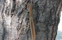 &nbsp;&nbsp;IMG_0770&nbsp;&nbsp;