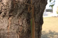 &nbsp;&nbsp;IMG_0771&nbsp;&nbsp;