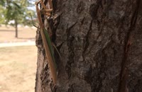 &nbsp;&nbsp;IMG_0772&nbsp;&nbsp;