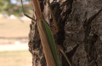 &nbsp;&nbsp;IMG_0773&nbsp;&nbsp;