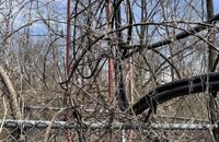 IMG_0335