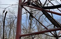 IMG_0341