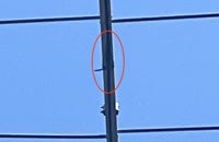   2025.07.06 14.54.51 coupler  