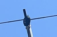   2025.07.06 14.57.42 balun  