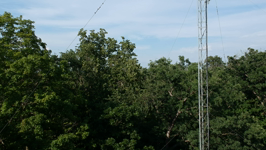   2025.07.07 17.58.56.MP4 (282 MB)  