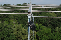   2025.07.07 zoom bal 2  