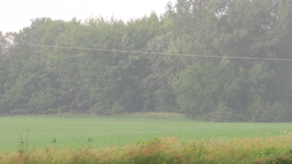   2024.06.22 17.35.46 blowing rain.MOV (37 MB)  