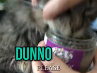   I need you to stop.mp4 (3 MB)  
