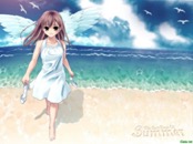 Romantic Collection 0423