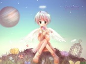 Romantic Collection 0440