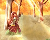 Romantic Collection 0480