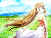 Romantic Collection 0492