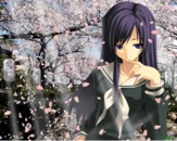 Romantic Collection 0500