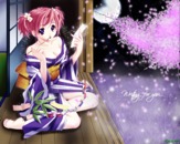 Romantic Collection 0519