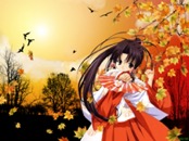 Romantic Collection 0531