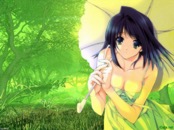Romantic Collection 0576