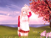 Romantic Collection 0577