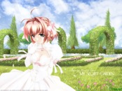 Romantic Collection 0580