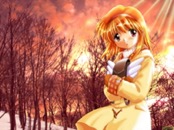Romantic Collection 0586