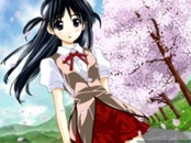 Romantic Collection 0611