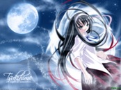 Romantic Collection 0644