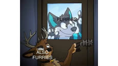 &nbsp;&nbsp;also furries&nbsp;&nbsp;