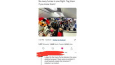 &nbsp;&nbsp;furry flight&nbsp;&nbsp;