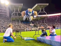 mascott work.mp4 (3 MB)