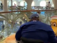 service dog meets pluto.mp4 (8 MB)