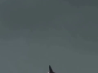   ZOT.mp4 (4 MB)  