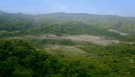   Natural World- Leopards (BBC).mp4 (277 MB)  