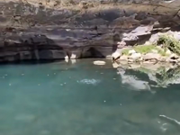   cave splash.mp4 (1286 KB)  