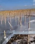   ice shelf.mp4 (1035 KB)  