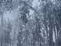   snow day.mp4 (1377 KB)  