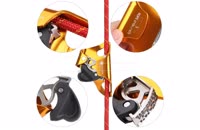 &nbsp;&nbsp;features&nbsp;&nbsp;