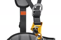 &nbsp;&nbsp;front ascender&nbsp;&nbsp;