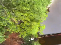 &nbsp;&nbsp;not speechless.mp4 (2 MB)&nbsp;&nbsp;