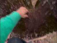 &nbsp;&nbsp;tree web.mp4 (25 MB)&nbsp;&nbsp;