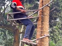 &nbsp;&nbsp;tree climber.mp4 (6 MB)&nbsp;&nbsp;