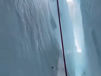 &nbsp;&nbsp;corked.mp4 (583 KB)&nbsp;&nbsp;