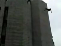 &nbsp;&nbsp;first.mp4 (288 KB)&nbsp;&nbsp;