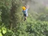 &nbsp;&nbsp;sloth on zipline.mp4 (4 MB)&nbsp;&nbsp;