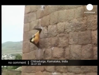 &nbsp;&nbsp;backward climb.mp4 (6 MB)&nbsp;&nbsp;